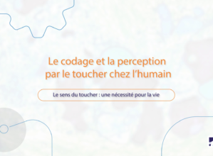 « Le sens du toucher : une nécessité pour la vie » par Rochelle Ackerley, DR CNRS, Laboratoire de Neurosciences Cognitives, Marseille.